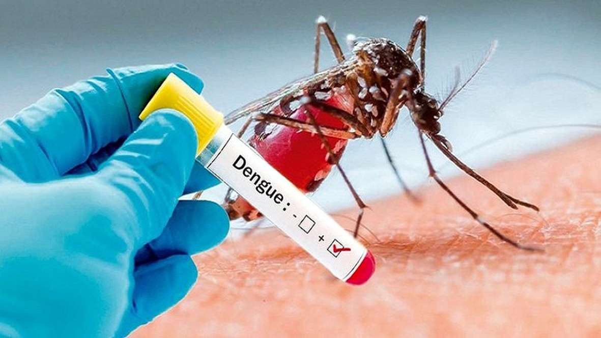 Jharkhand mein dengue