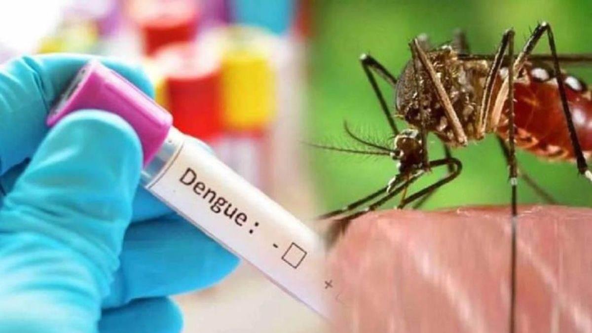 dengue in jharkhand