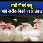 Ranchi Bird Flu: बर्ड फ्लू, अंडा खरीद-बिक्री पर प्रतिबंध