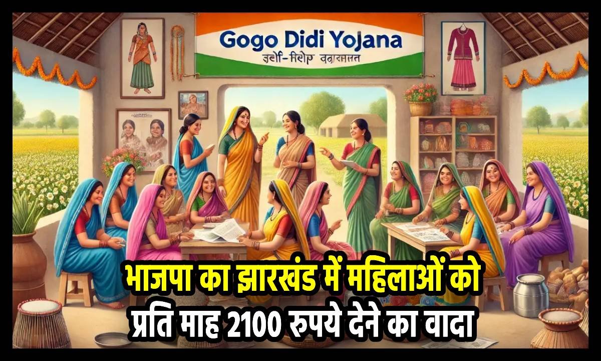 gogo didi yojana