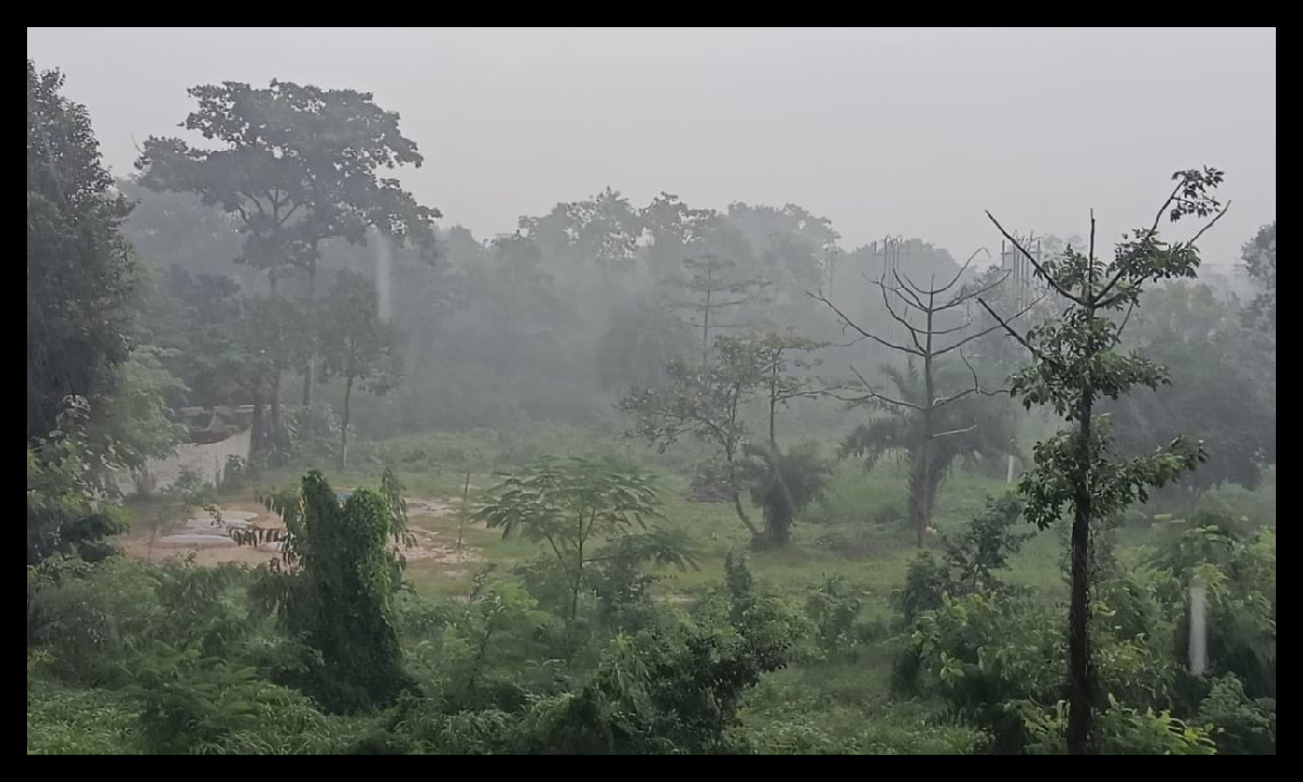 Jharkhand Weather report