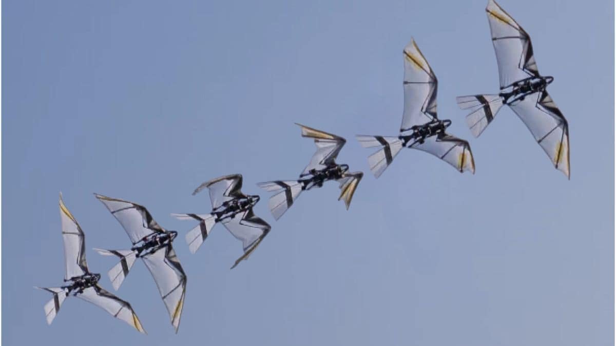 पहुंच अस्वीकृत