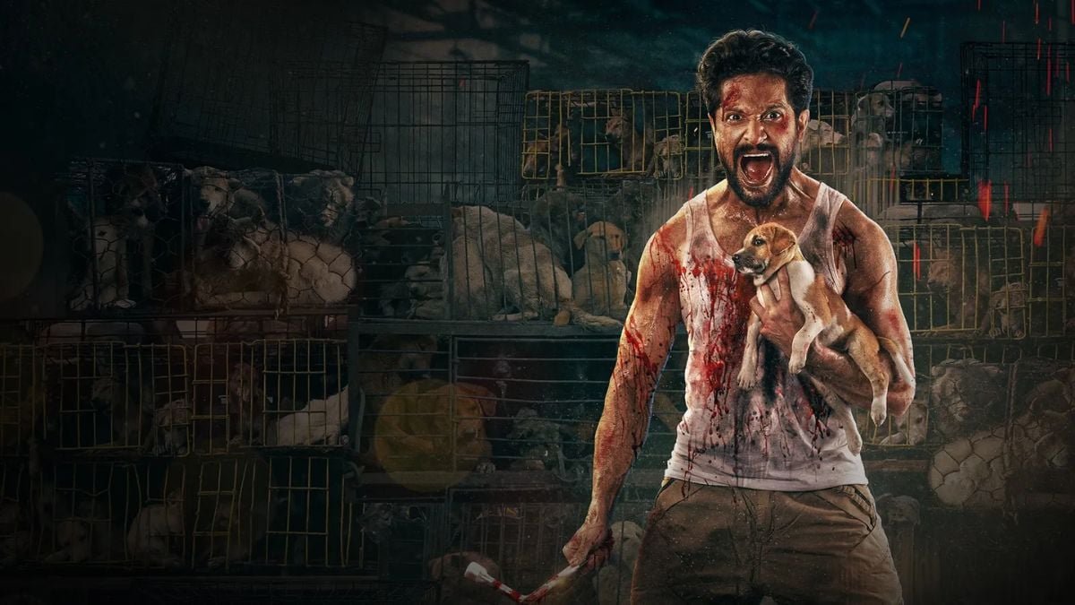 पहुंच अस्वीकृत