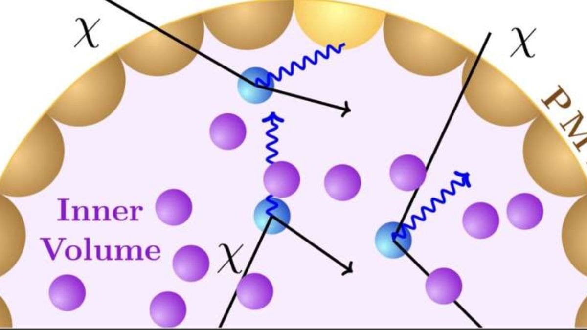 पहुंच अस्वीकृत