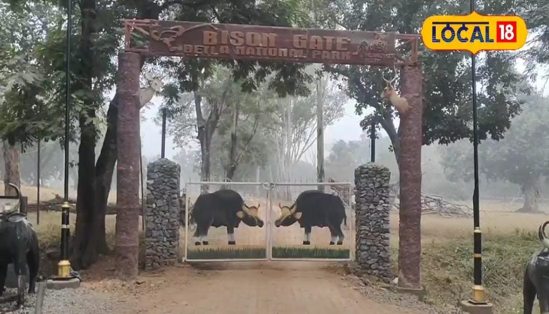 उदयपुर के जंगलों में छिपा वो डरावना सच, जिसे सालों तक दबाती रहीं पुलिस फाइलें