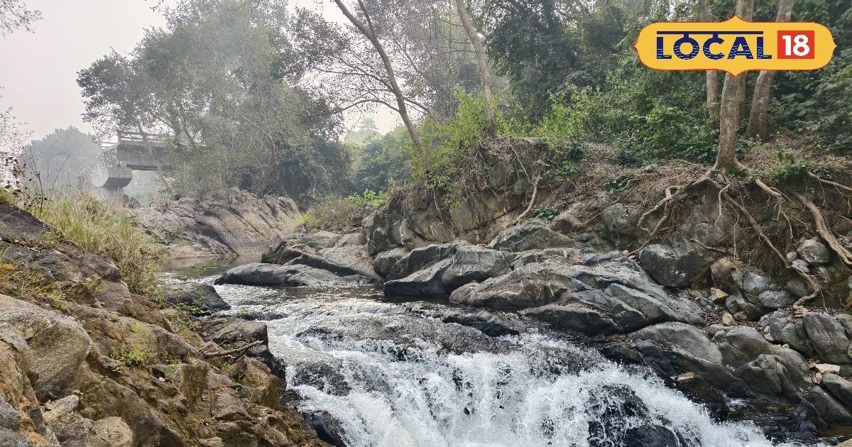 बेहद स्टाइलिश हैं US के राष्ट्रपति Donald Trump के बेटे की मंगेतर