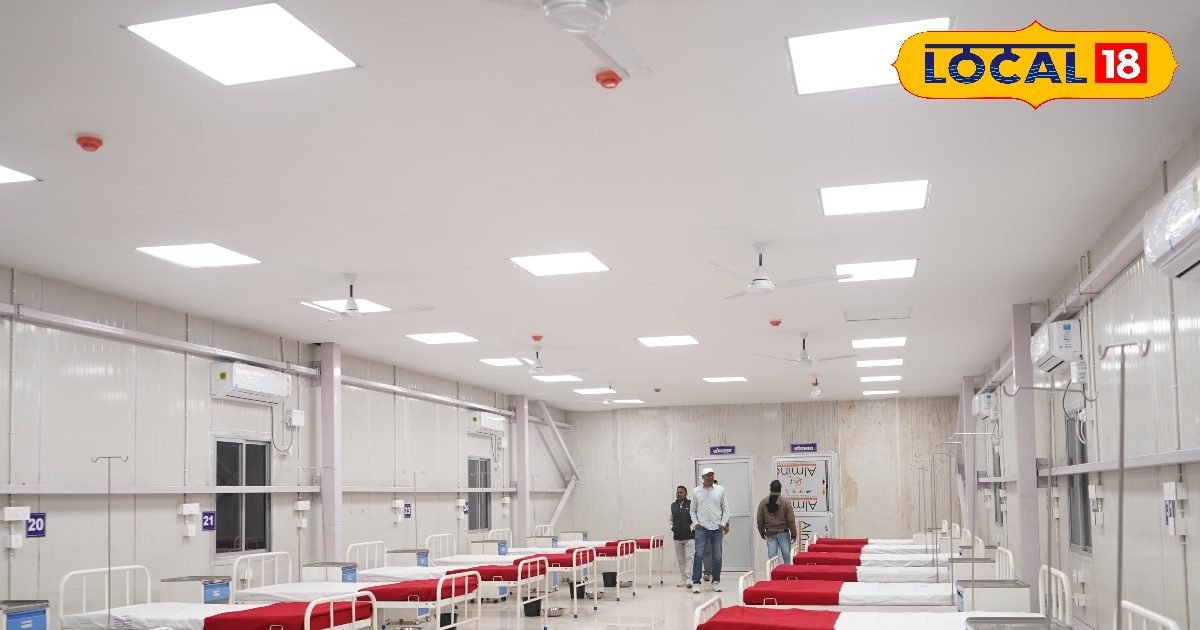 ठंड में भी मिलेगा ताजा फल! घर के अंदर लगाएं ये 5 फलदार पौधे, जानें समय व तरीका