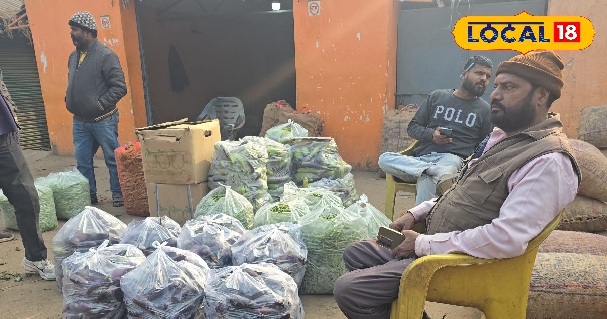 सैकड़ों साल पुरानी जमीन पर आधुनिक सोच, सीकर गोशाला की कहानी जानकर चौंक जाएंगे