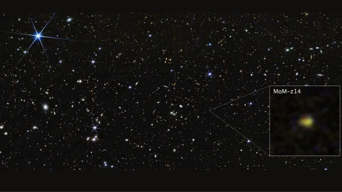 पहुंच अस्वीकृत