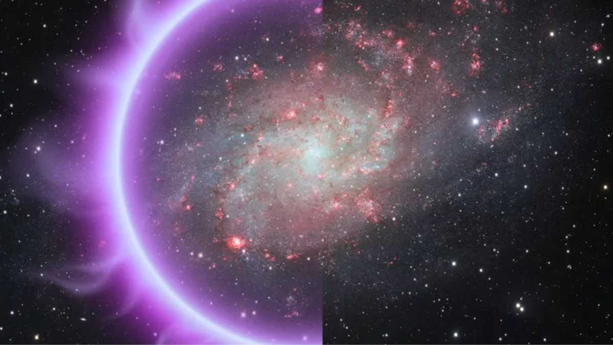 पहुंच अस्वीकृत