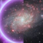 पहुंच अस्वीकृत