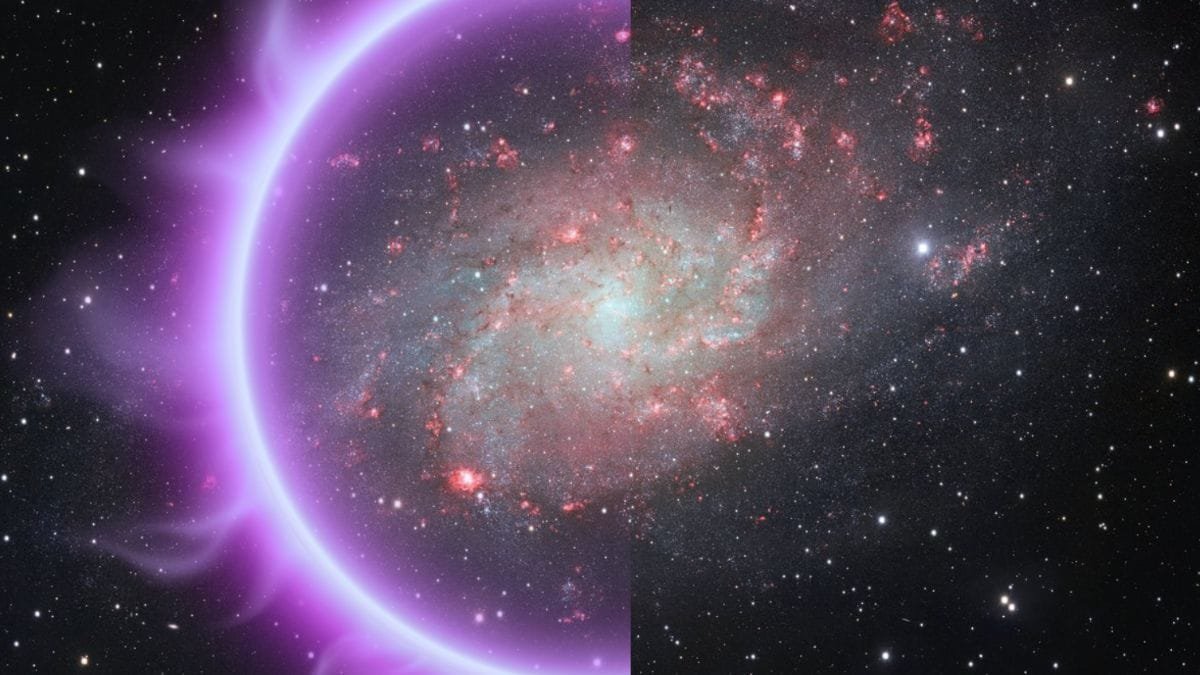 पहुंच अस्वीकृत