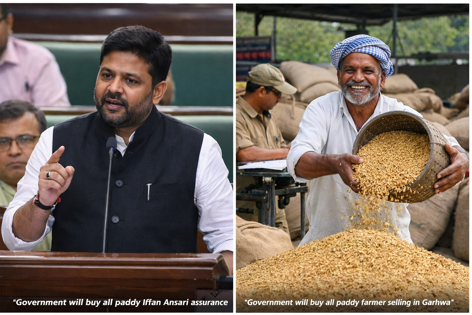 Government will buy all paddy