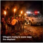 Koderma wild elephant attack