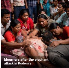 Koderma wild elephant attack