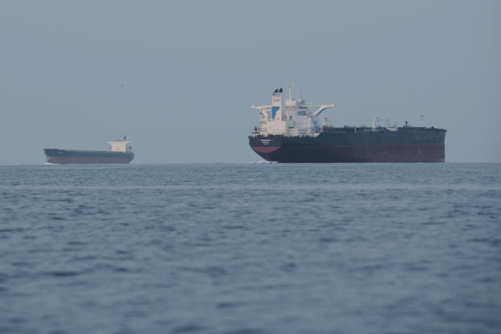 Strait of Hormuz Seized Ship