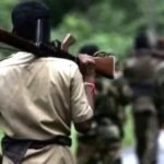 चतरा-हजारीबाग सीमा पर 4 लावारिस गोदाम: 15 लाख के स्वीकृत सहदेव और लाचारी भी गए, दो एके-47 राइफल बरामद - चतरा समाचार