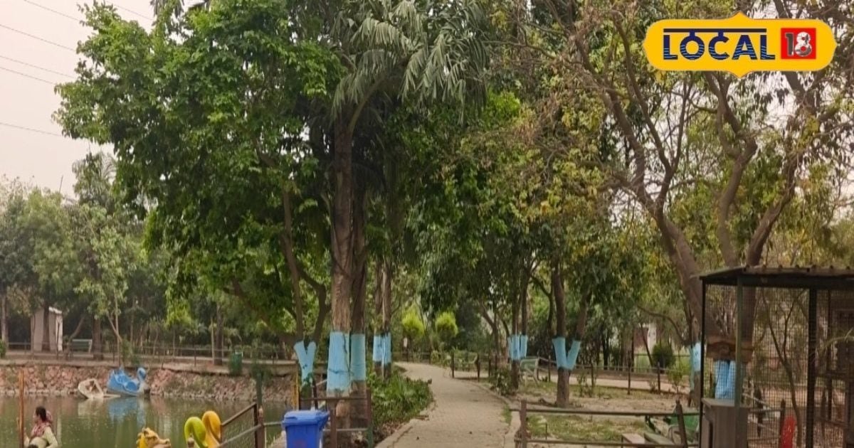 कम बजट में फैमिली ट्रिप का प्लान? गाजियाबाद का ये सिटी फॉरेस्ट है बेस्ट रैंकिंग
