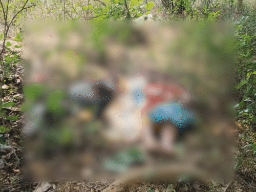 जामताड़ा के जीतपुर जंगल में प्रेमी जोड़े का मिला शव: मौत के पास जहर की बोतल मिली, आत्महत्या का खतरा; नवीनतम ने दी पुलिस को सूचना - जामताड़ा न्यूज़