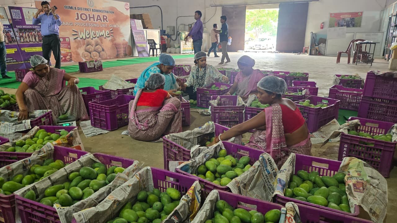 Monsoon in Jharkhand Jharkhand Mango Market