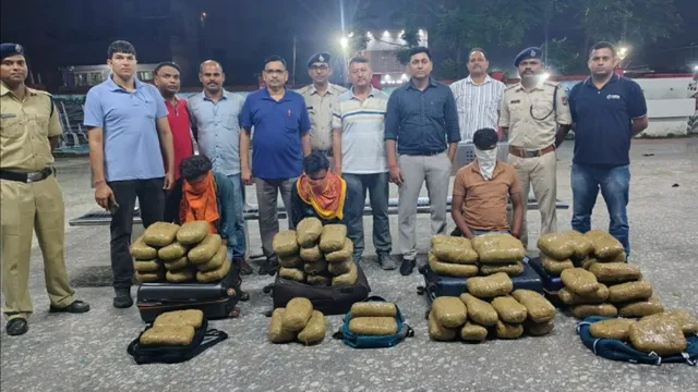 Operation Narcos