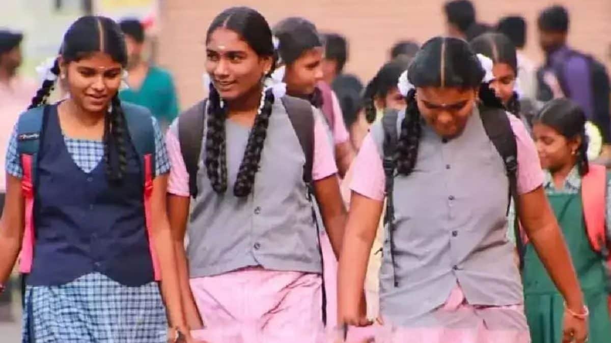 सीबीएसई कक्षा 10 द्वितीय बोर्ड परिणाम लाइव: सीबीएसई 10वीं चरण 2 स्कोरकार्ड जल्द? कब और कहां जांच करनी है